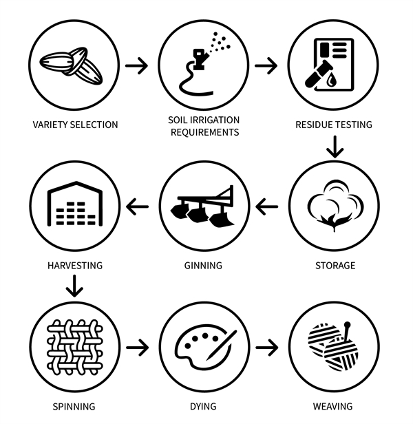 organic_cotton_manufacture_process.webp